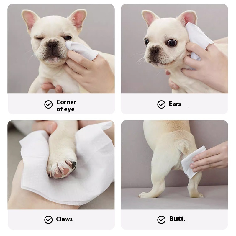 Factory Custom Logo Eco-Friendly 100Pcs Pet Wipes Bacteriostatic Non-Scrubbing Cleansing Foot Tears for Pets 图6
