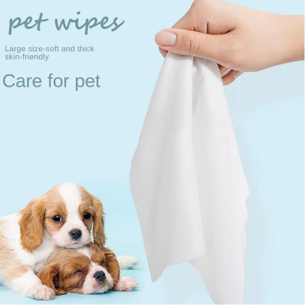 OEM Factory Custom Logo Eco-Friendly 10Pcs Pet Wipes Bacteriostatic Non-Scrubbing Cleansing Foot Tears for Pets Special Wipes 图6