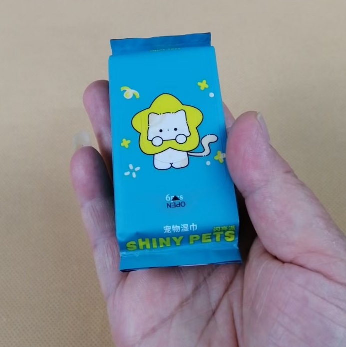 OEM Factory Custom Logo Mini Portable 6 Count Eco-Friendly Pet Wipes for Cleaning Pet Mouth Eye Nose Claws Fully Body