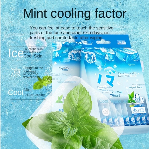 OEM Factory Custom Logo Sweatproof 40x26cm Cold Cooling Lager 10pcs Cold Wet Wipes for Military Training Sports Travel 图3
