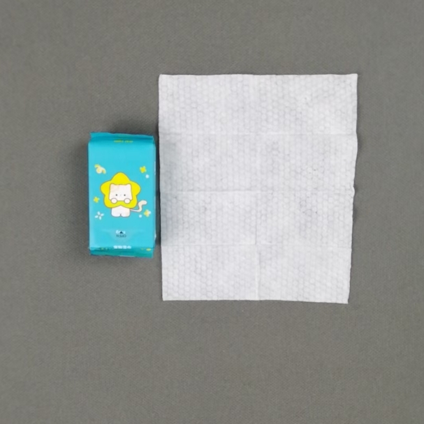 OEM Factory's Mini Portable Eco-friendly Packaging Custom Logo 6pcs Pet Wipes for Full Body Cleaning of Pets